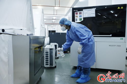 守滬者聯盟丨上海建成'火眼'實驗室，日檢測通量可達10萬單管